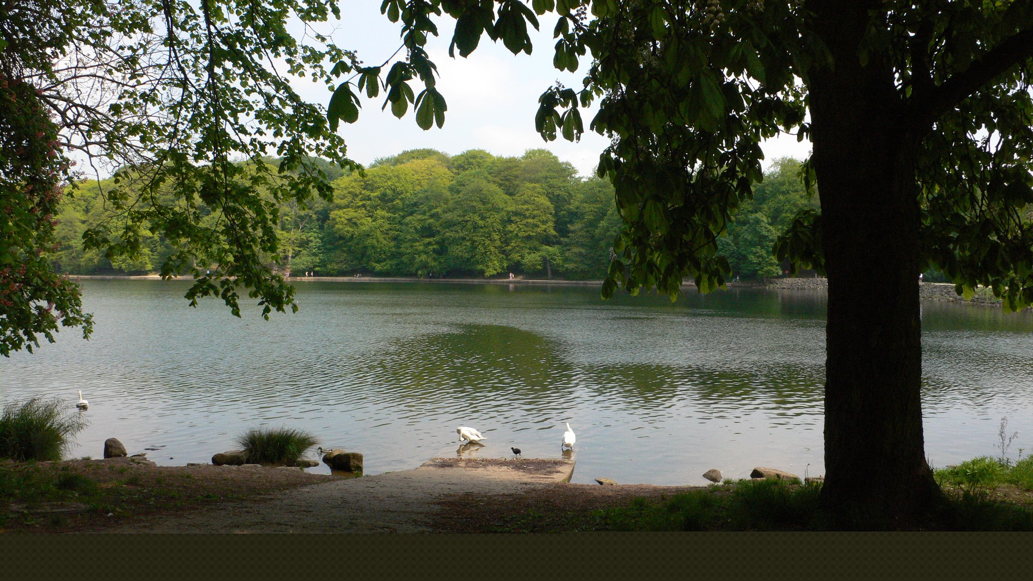 Six Great Things to Do in Leeds