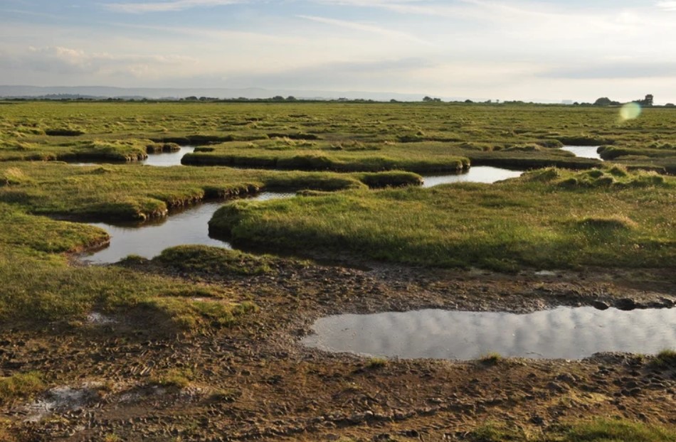 Six Great Things to Do in Hinkley Point