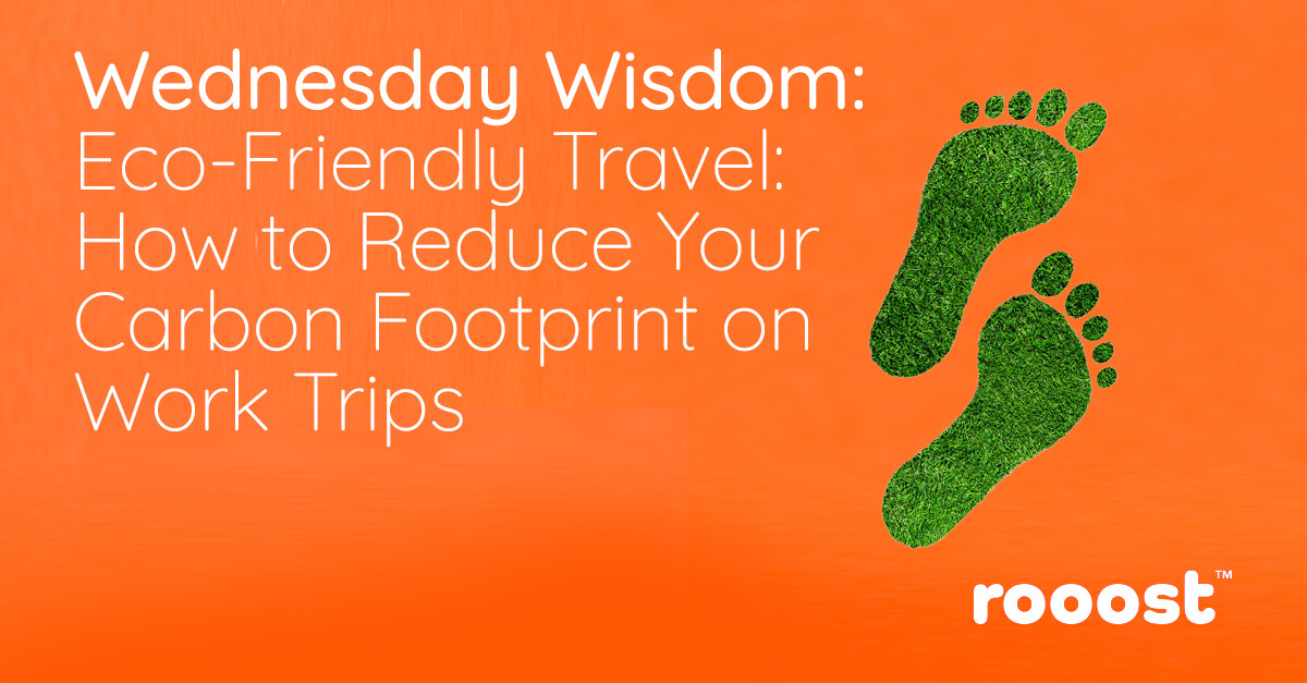 Wednesday Wisdom: Sustainability and Responsible Travel (Eco-Friendly Travel: How to Reduce Your Carbon Footprint on Work Trips)